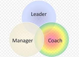 Managers as Coaches (Part 2). Some Solutions!